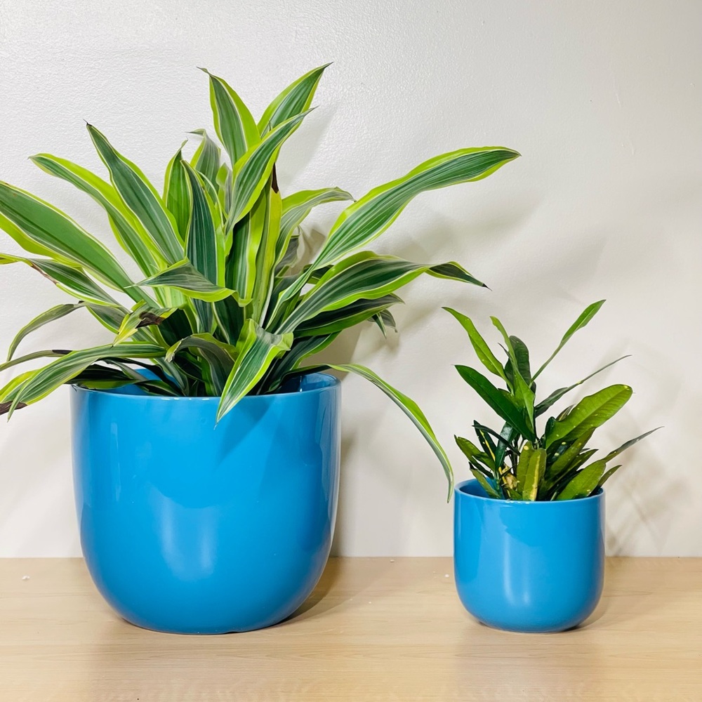 Glossy Planter Pot Set 5” & 9”